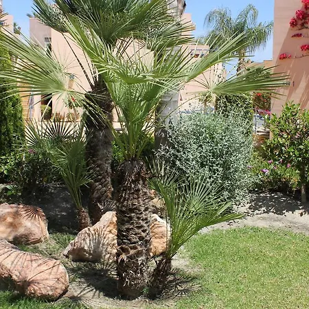 Apartment Atalaya De Iberia Active *
